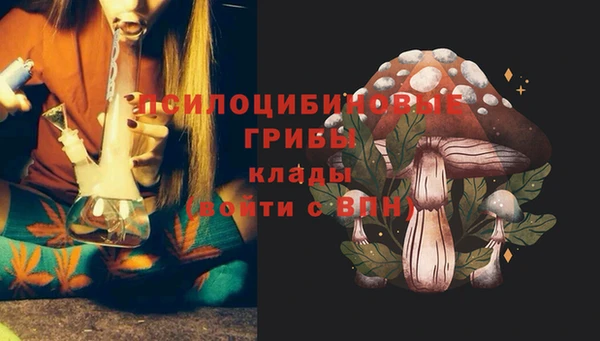 тгк Алексеевка