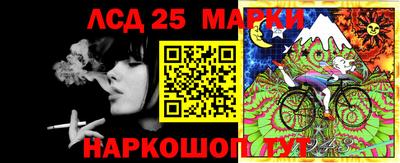 крисы Краснодар