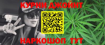 крисы Краснодар