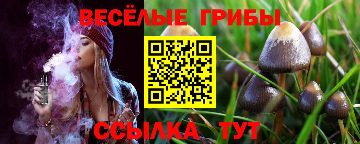 Псилоцибиновые грибы мицелий Шуя