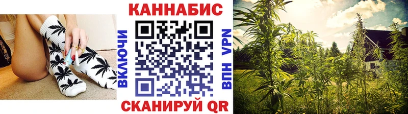блэк спрут сайт что такое Шуя МАРИХУАНА Amnesia
